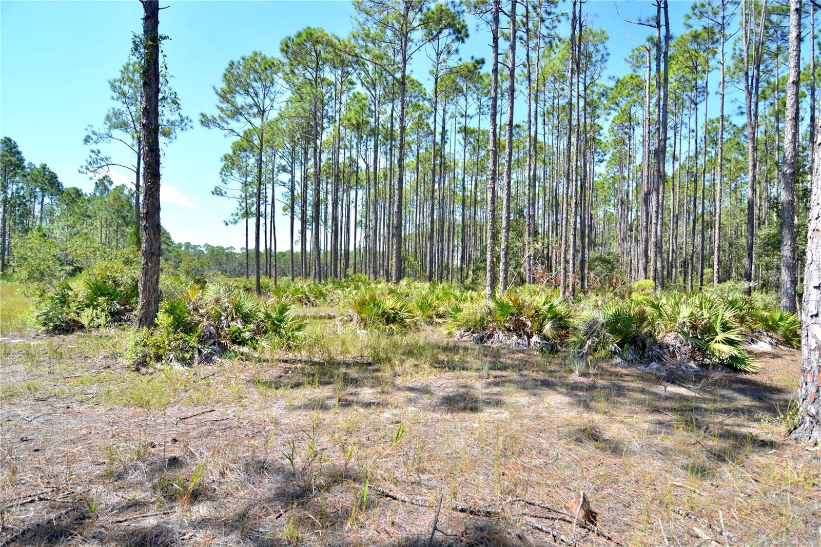 KEY DEER CT,, PERRY, FL — photo 6