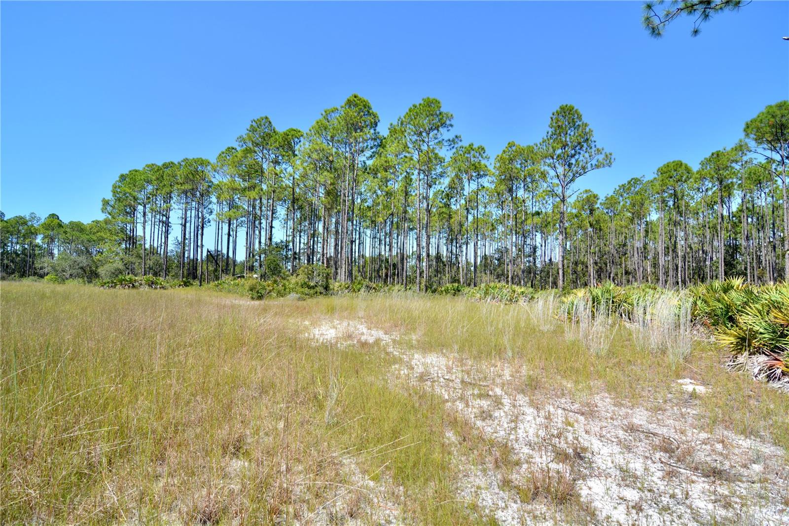 KEY DEER CT,, PERRY, FL — photo 8