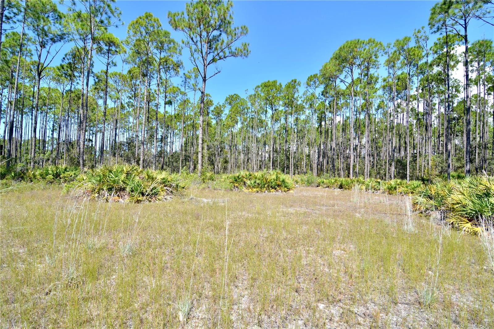 KEY DEER CT,, PERRY, FL — photo 9