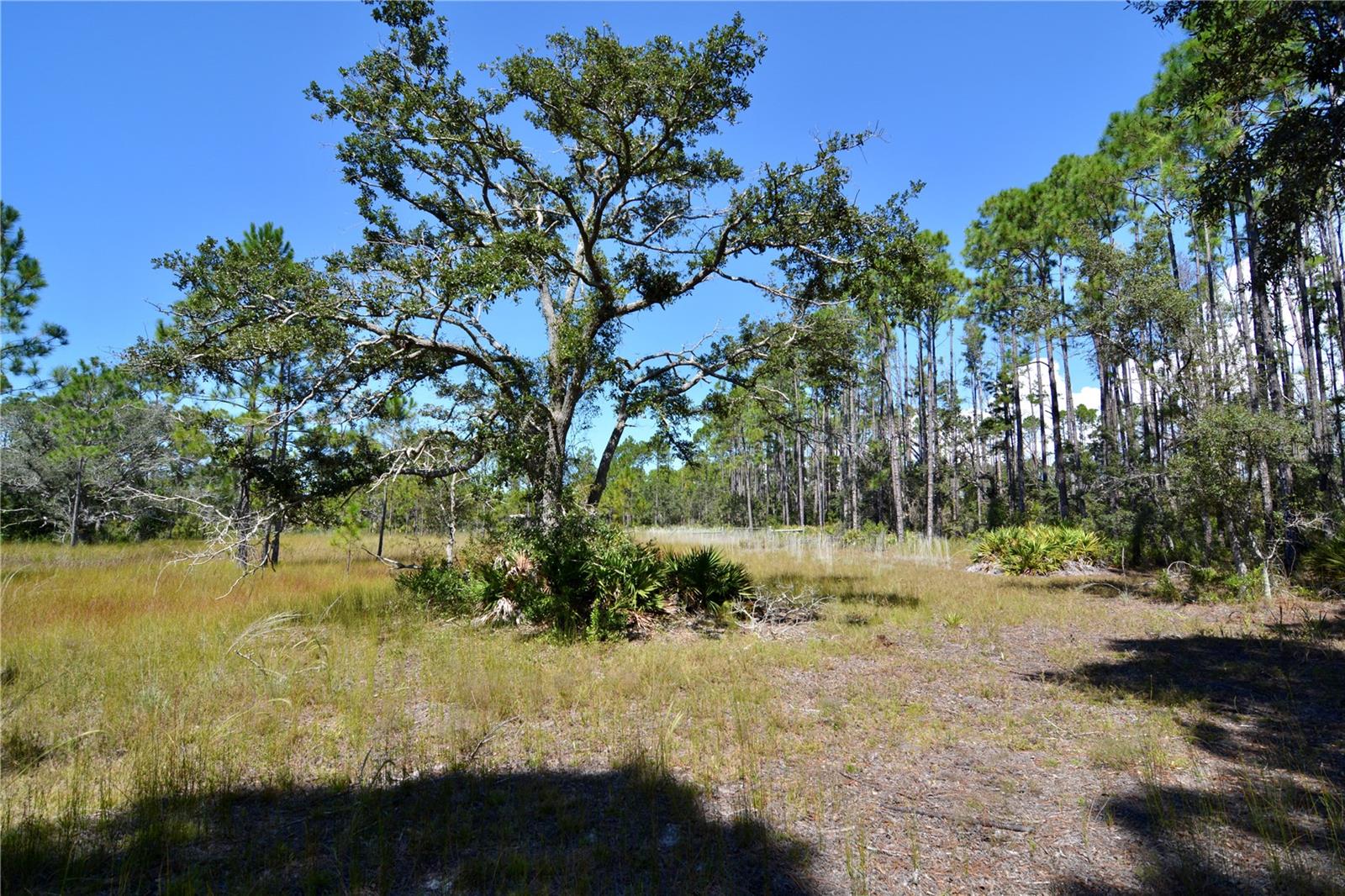 KEY DEER CT,, PERRY, FL — photo 10