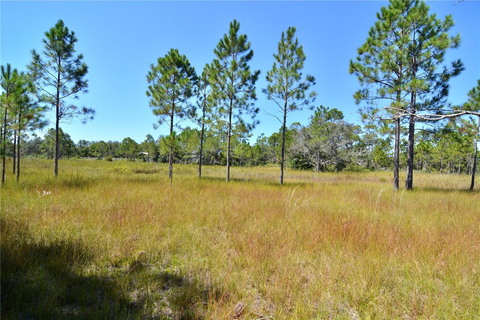KEY DEER CT,, PERRY, FL — photo 11