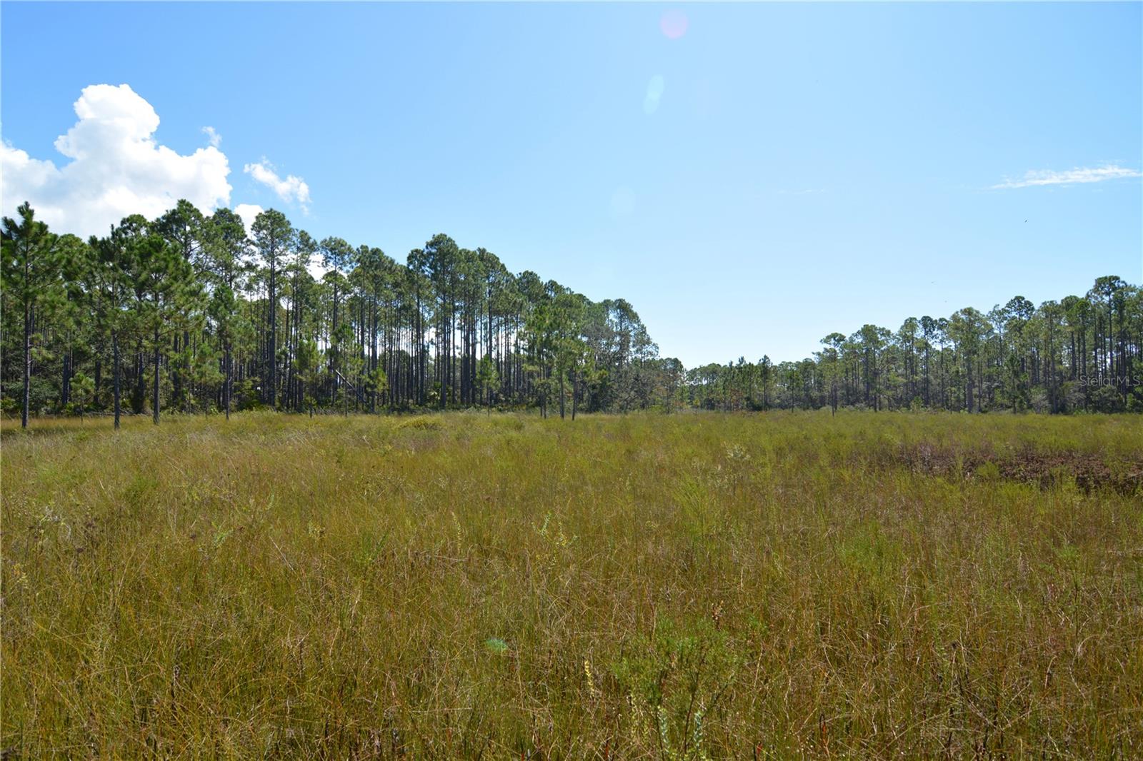 KEY DEER CT,, PERRY, FL — photo 12