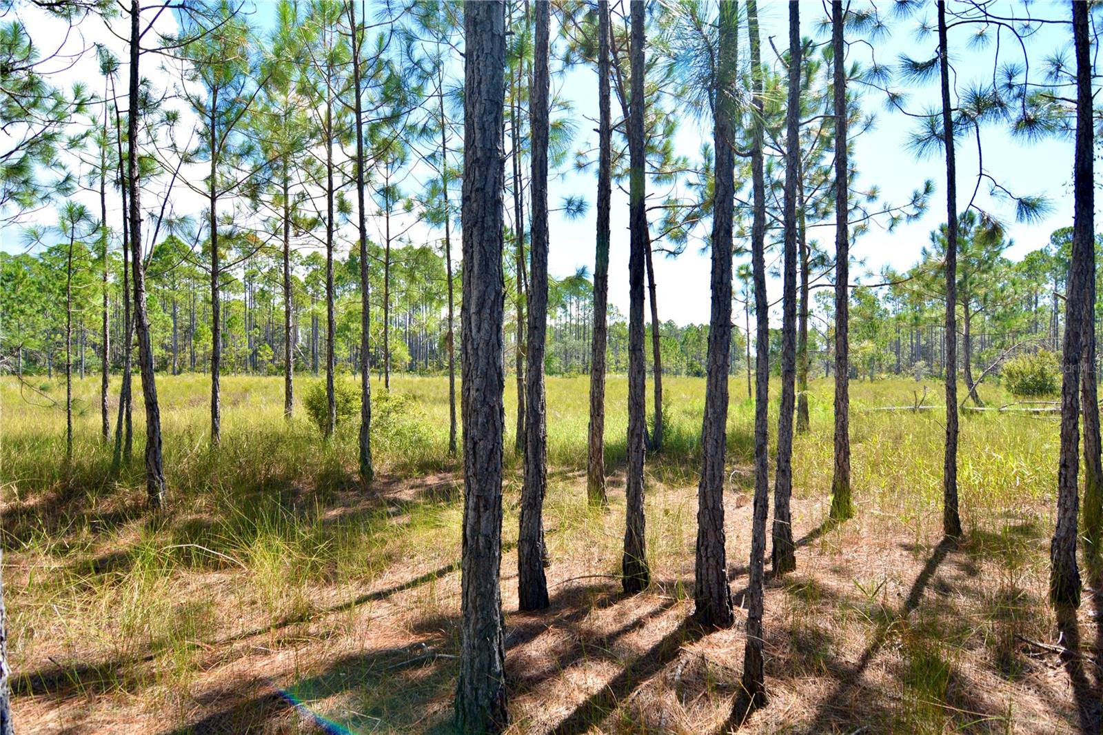 KEY DEER CT,, PERRY, FL — photo 13