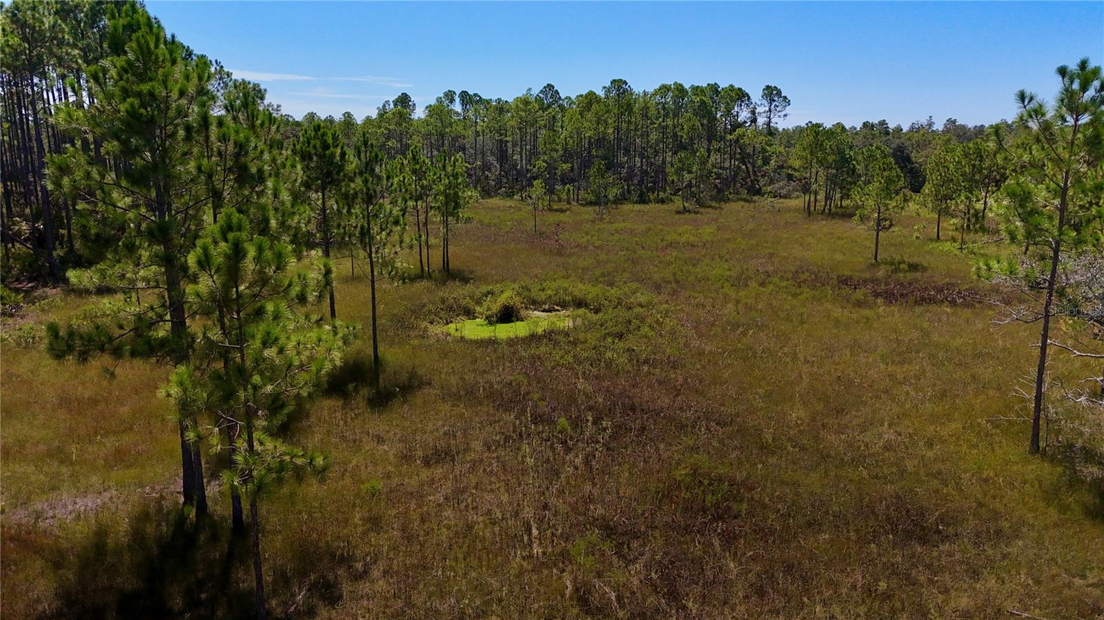 KEY DEER CT,, PERRY, FL — photo 18