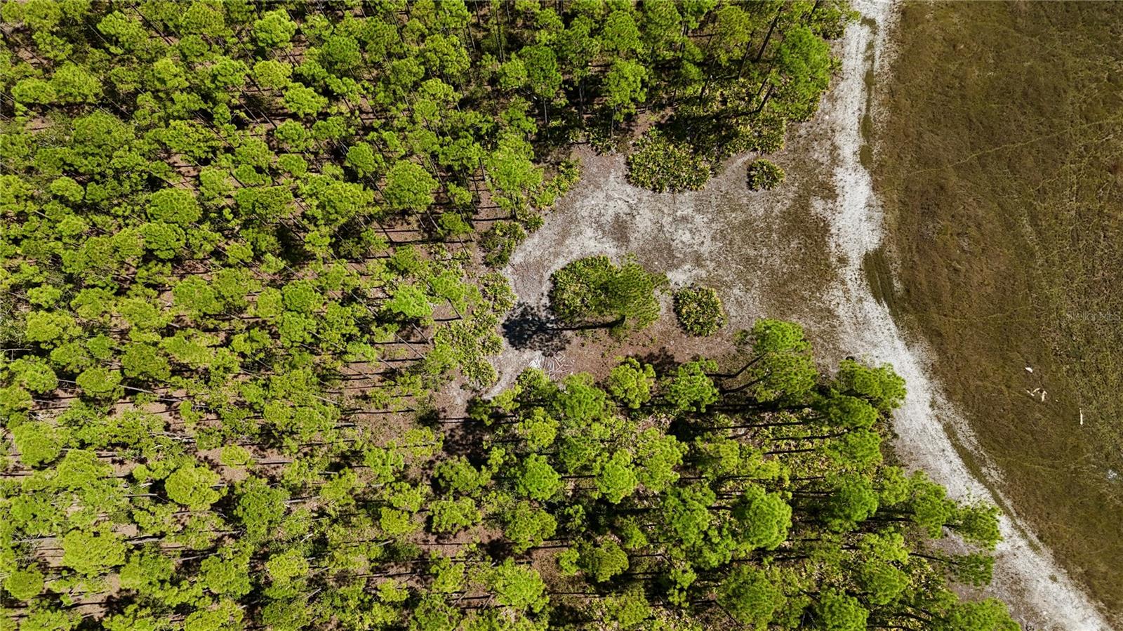 KEY DEER CT,, PERRY, FL — photo 19