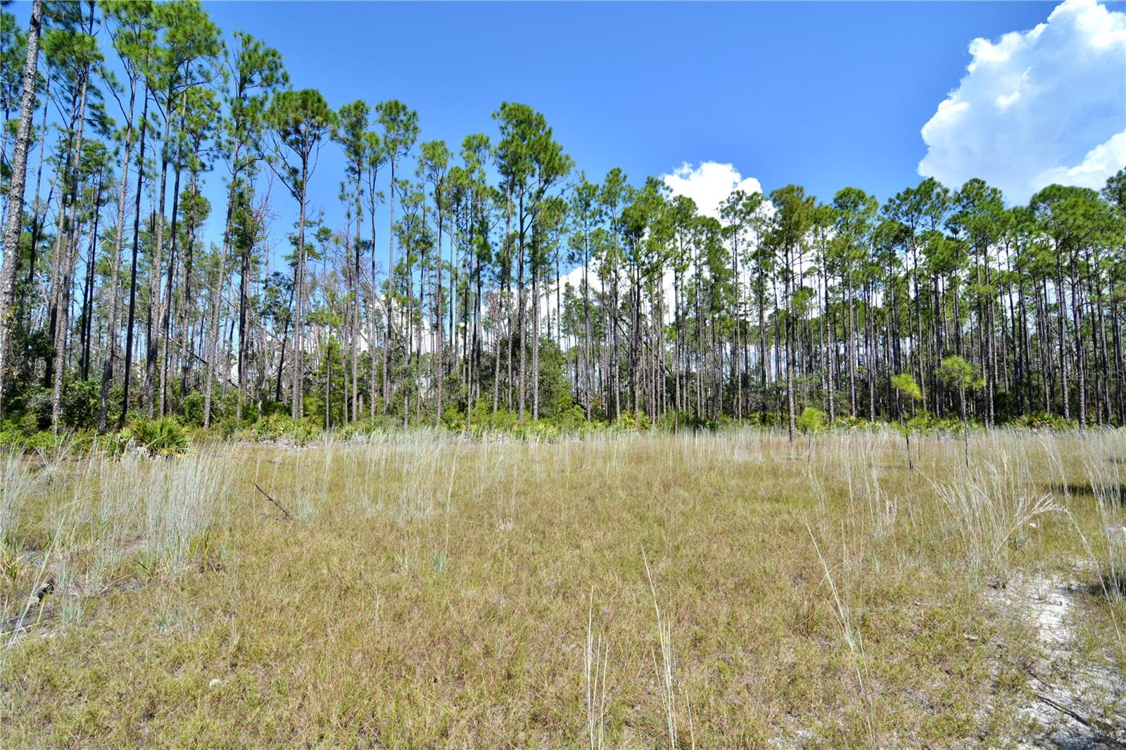 KEY DEER CT,, PERRY, FL — photo 21