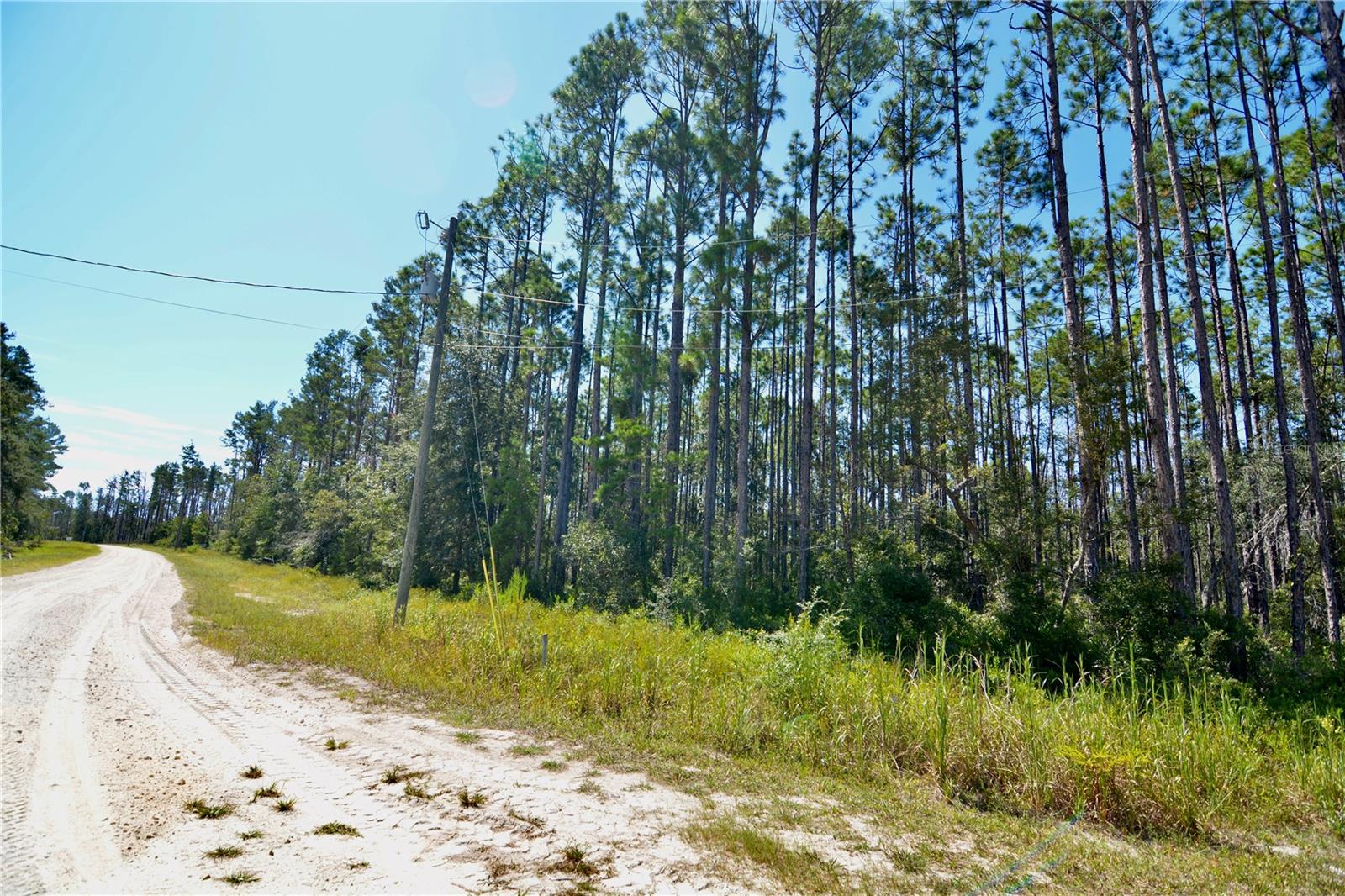 KEY DEER CT,, PERRY, FL — photo 22
