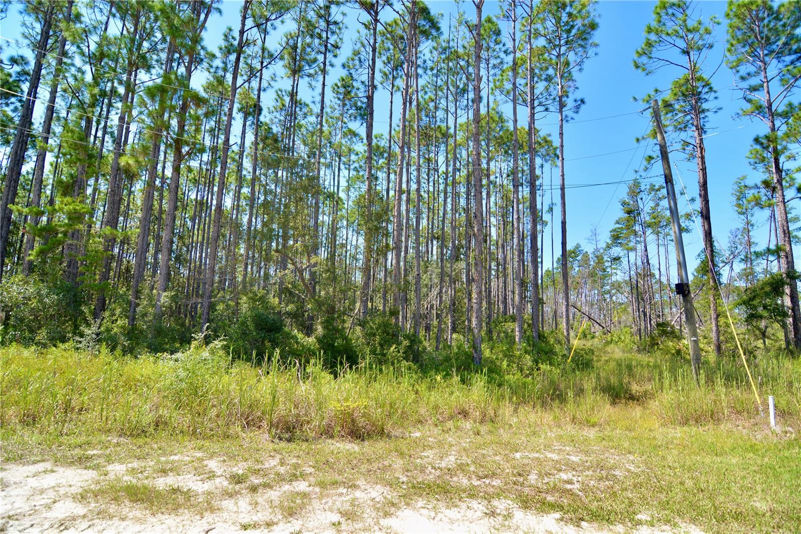 KEY DEER CT,, PERRY, FL — photo 23