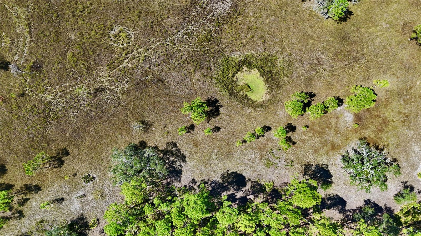 KEY DEER CT,, PERRY, FL — photo 26