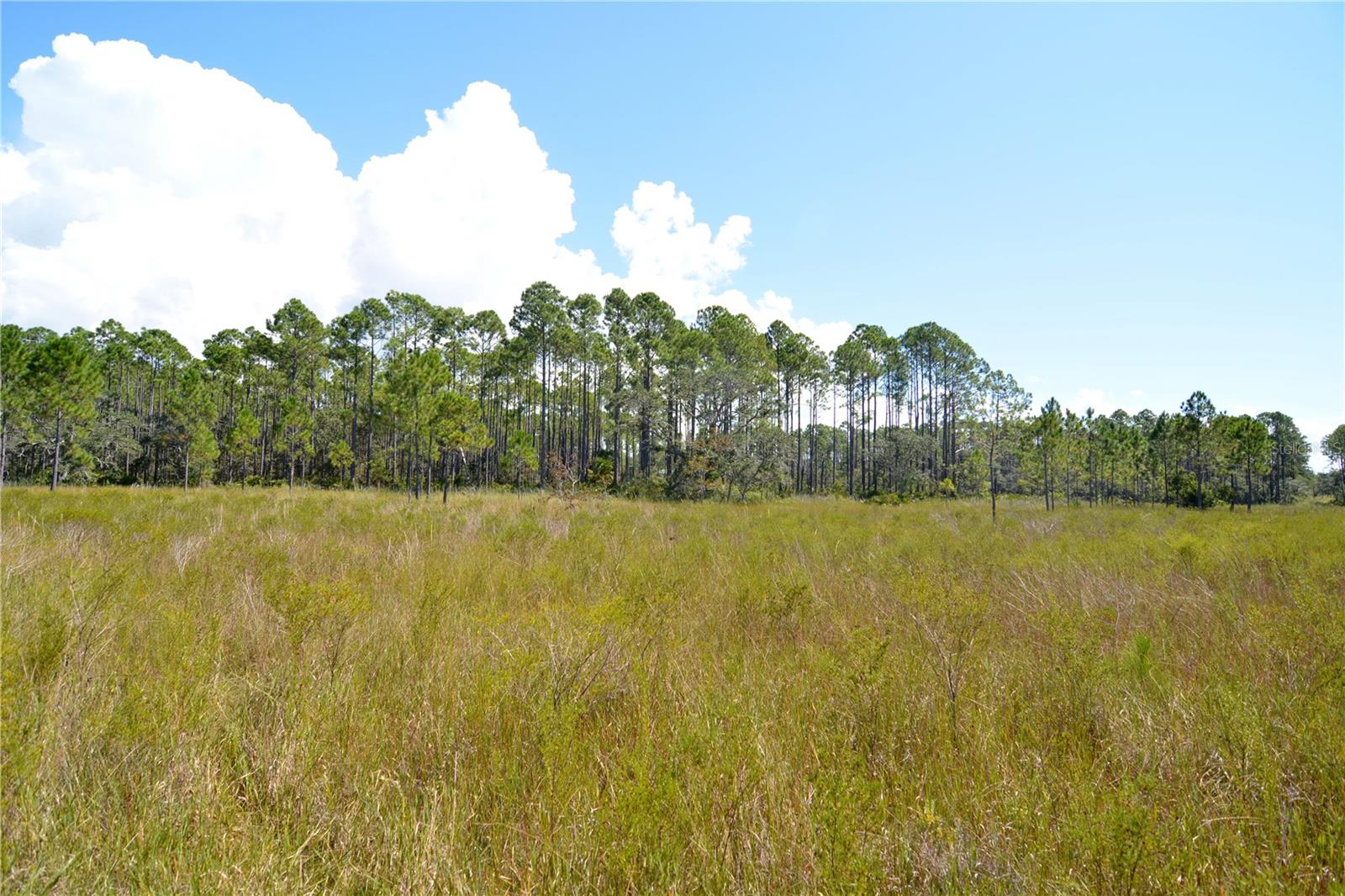 KEY DEER CT,, PERRY, FL — photo 27