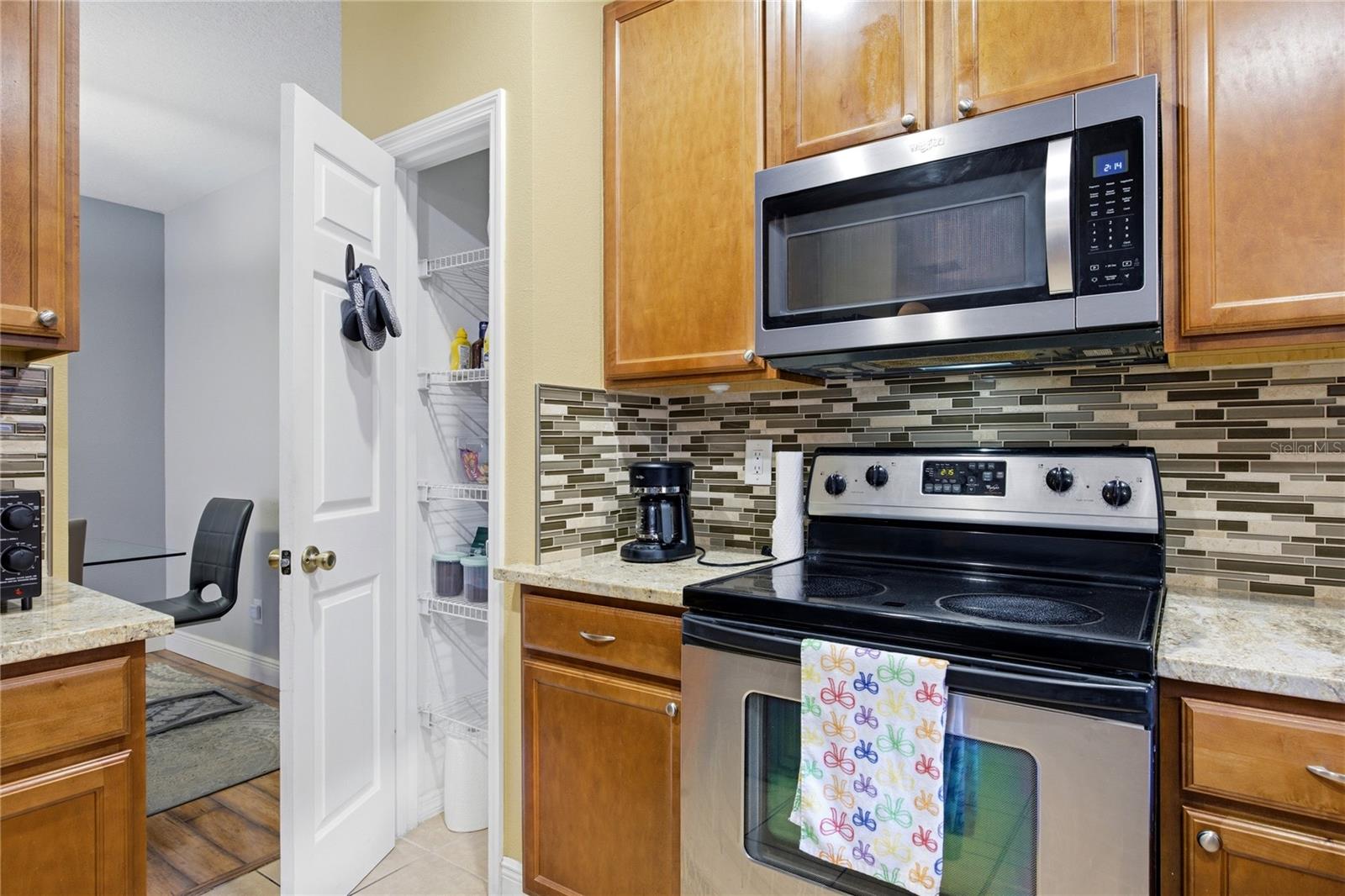 1033 BLACKWATER DR, WESLEY CHAPEL, FL — photo 8