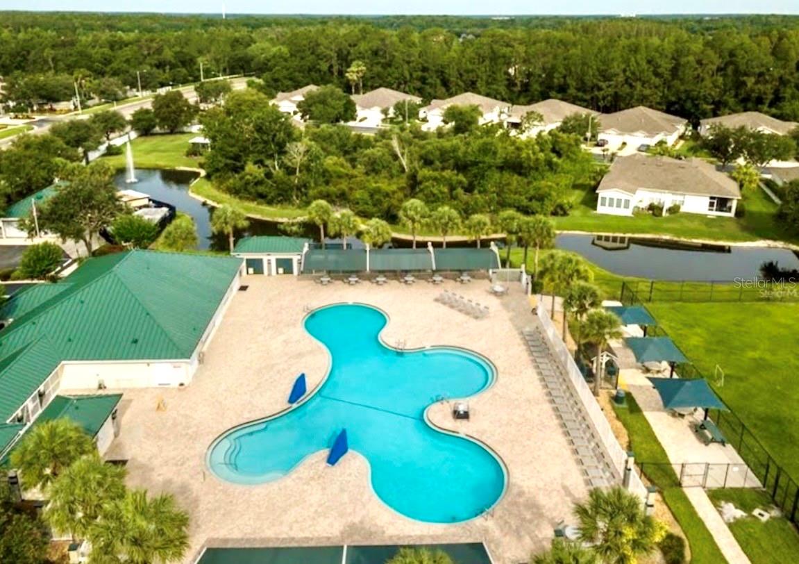 1033 BLACKWATER DR, WESLEY CHAPEL, FL — photo 39