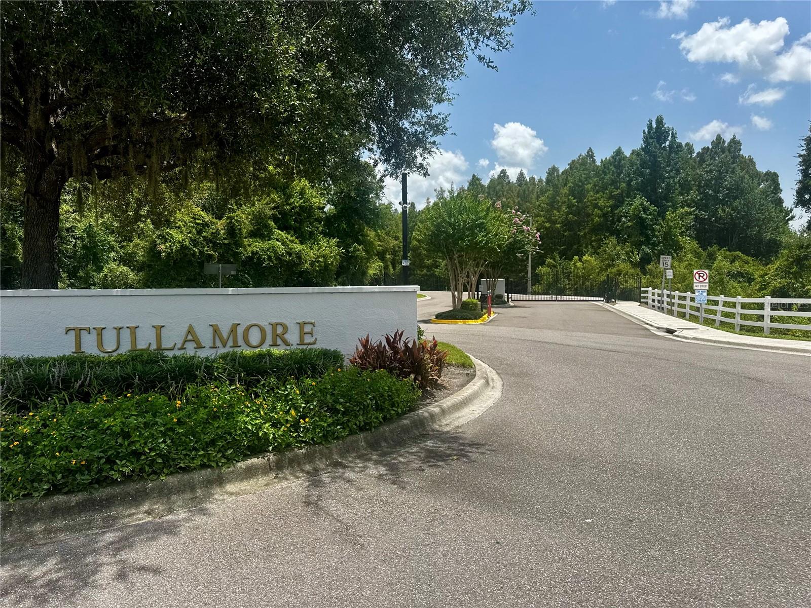 1033 BLACKWATER DR, WESLEY CHAPEL, FL — photo 41