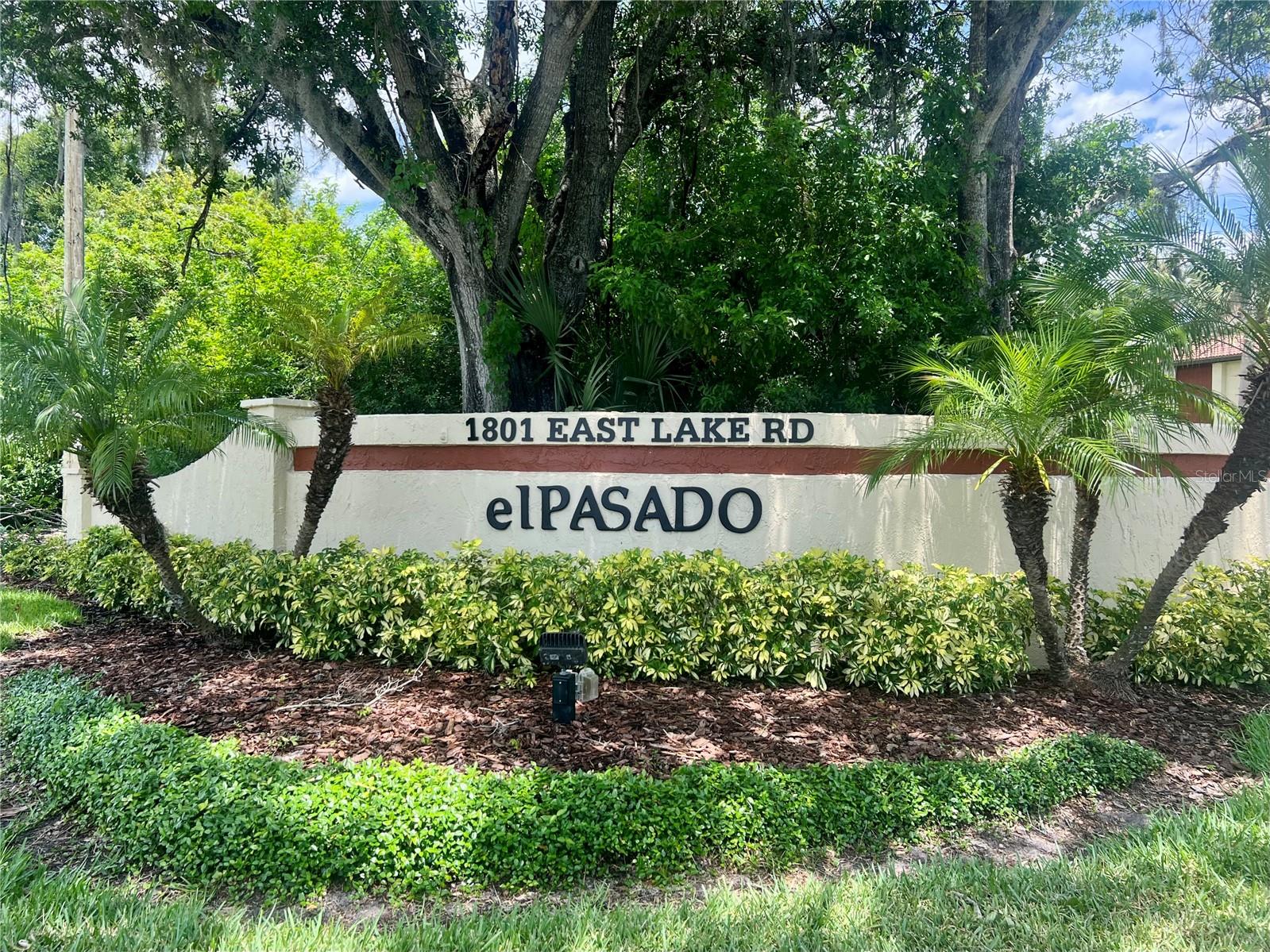 1801 E LAKE RD #17C, PALM HARBOR, FL — photo 2