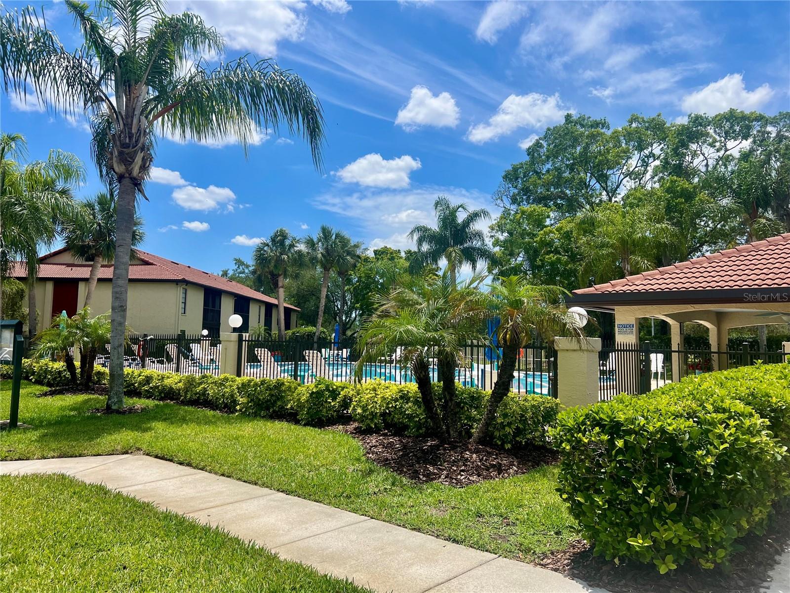 1801 E LAKE RD #17C, PALM HARBOR, FL — photo 57