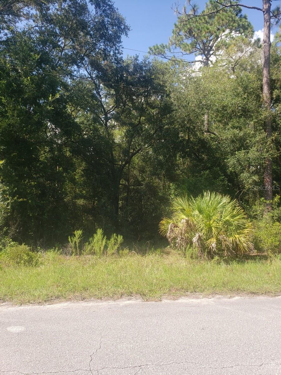 2949 W GRAPEVINE CT, DUNNELLON, FL