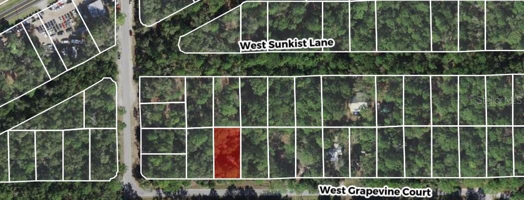 2949 W GRAPEVINE CT, DUNNELLON, FL — photo 2