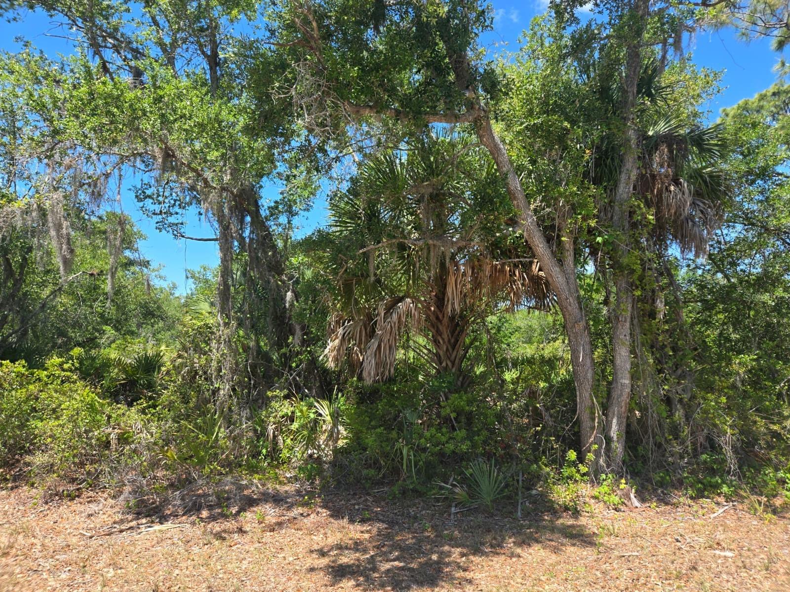 3137 CALEXICO ST, PORT CHARLOTTE, FL