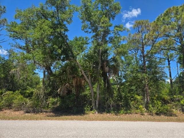 3137 CALEXICO ST, PORT CHARLOTTE, FL — photo 3
