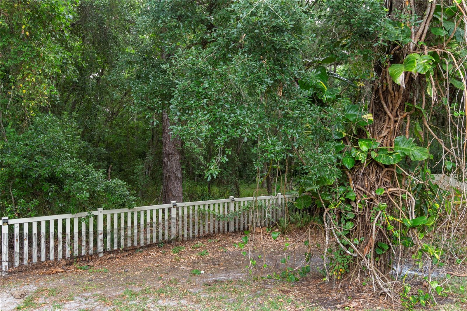6936 ROCKY CANYON WAY, TAMPA, FL — photo 29