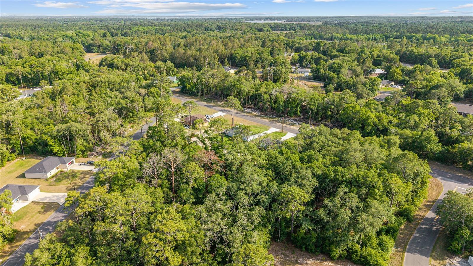 360 LOCUST RD, OCALA, FL — photo 46