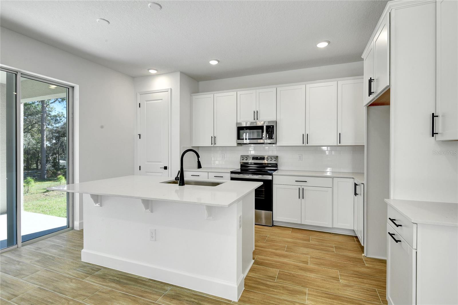 1010 CLOUD RIDGE CT, MOUNT DORA, FL — photo 10