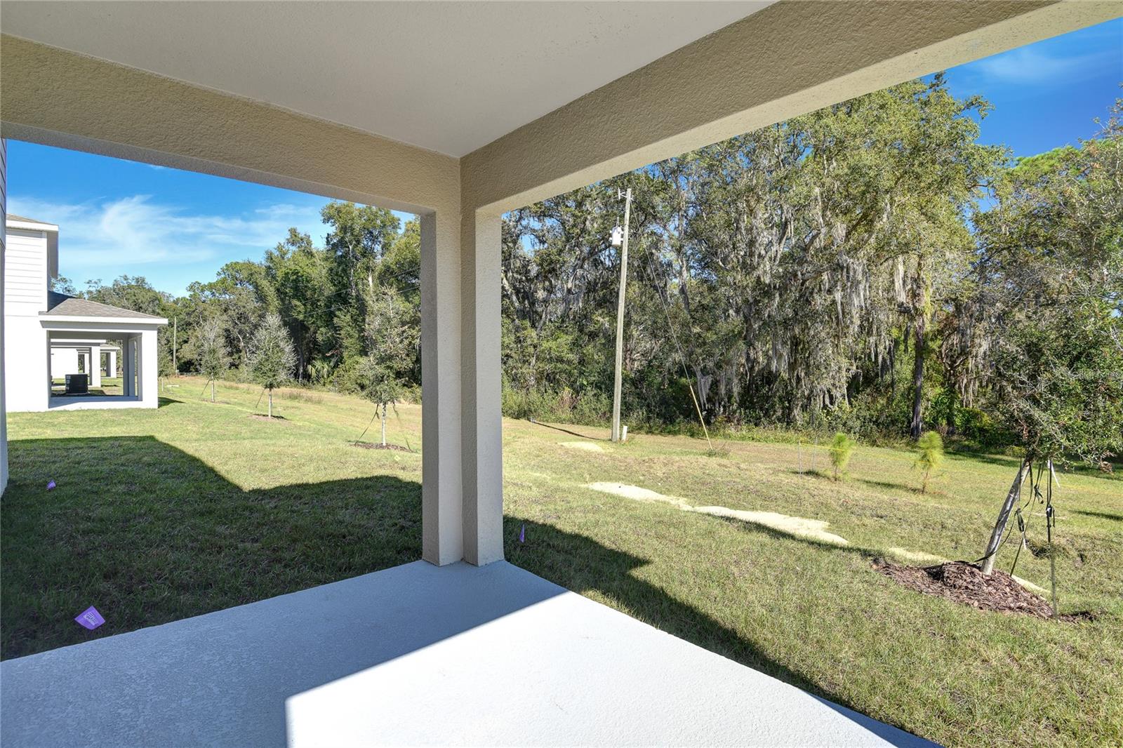 1010 CLOUD RIDGE CT, MOUNT DORA, FL — photo 35