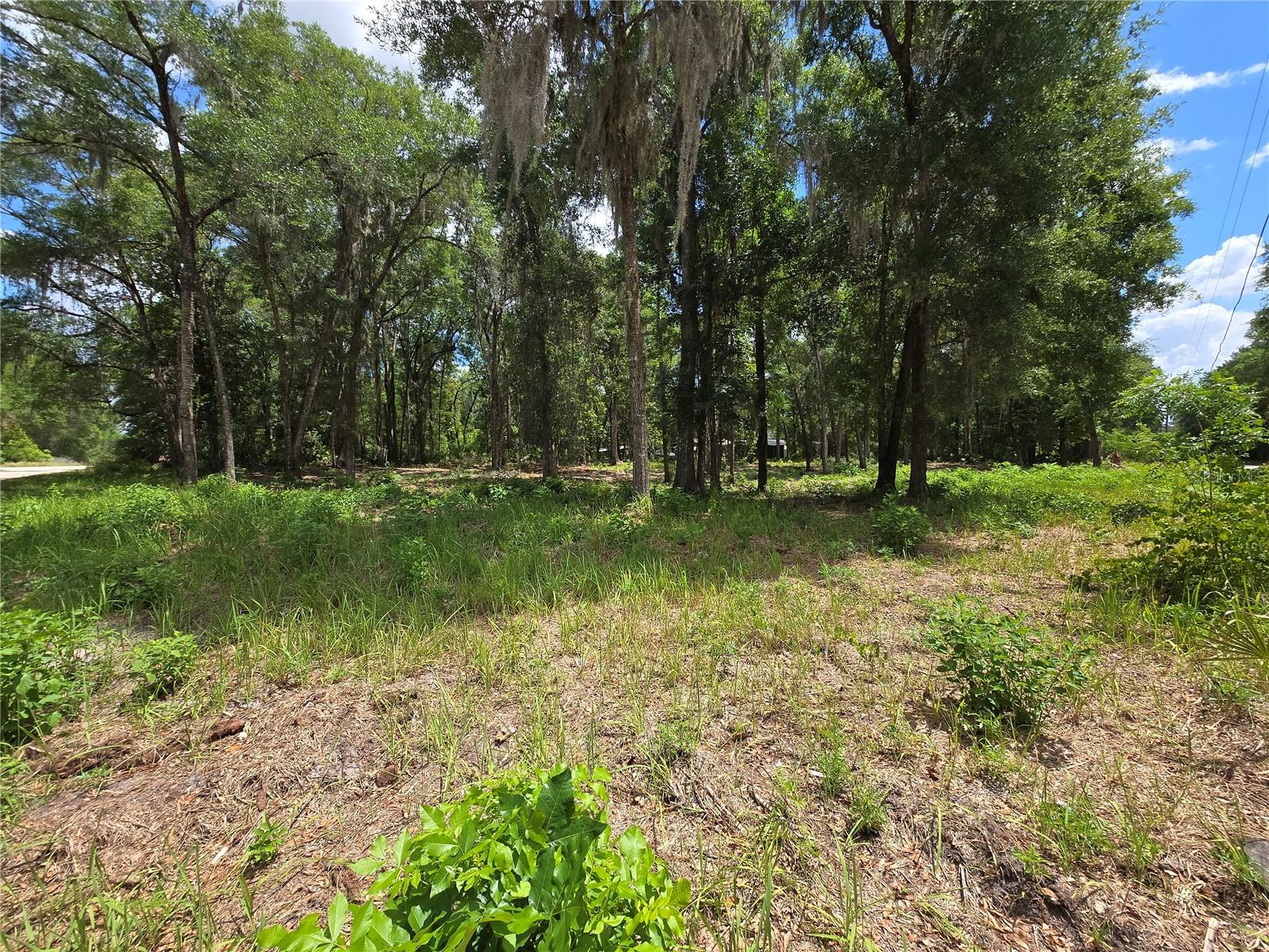 0 SW 15TH PL, OCALA, FL — photo 3