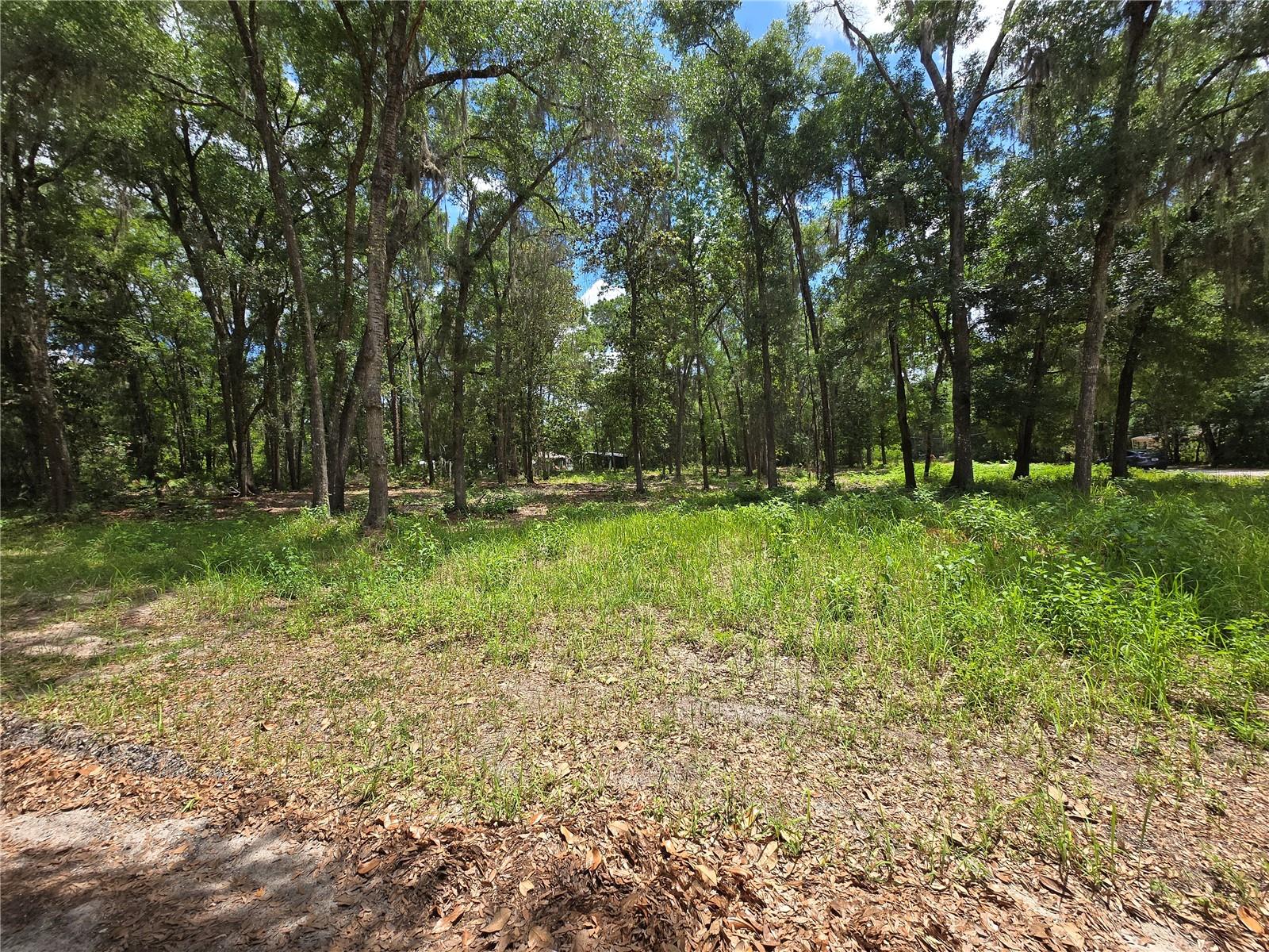 0 SW 15TH PL, OCALA, FL — photo 4