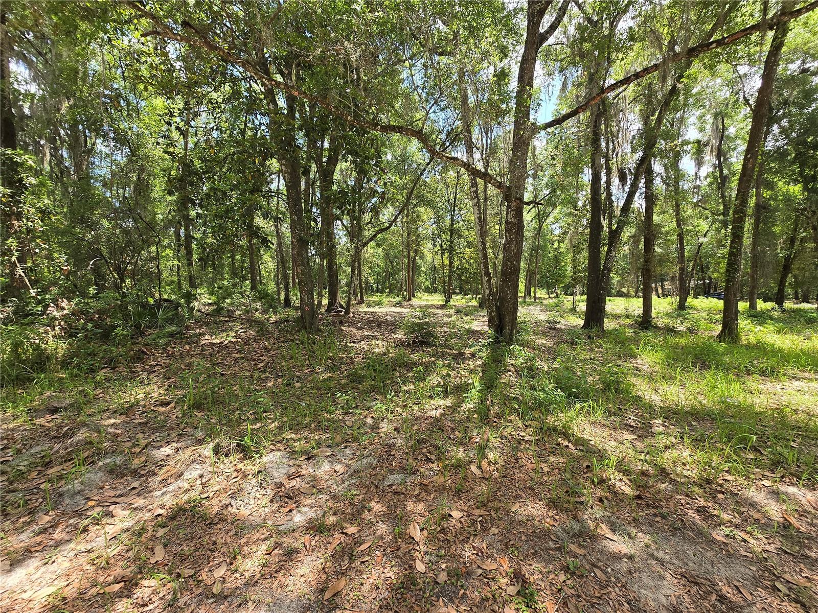 0 SW 15TH PL, OCALA, FL — photo 5
