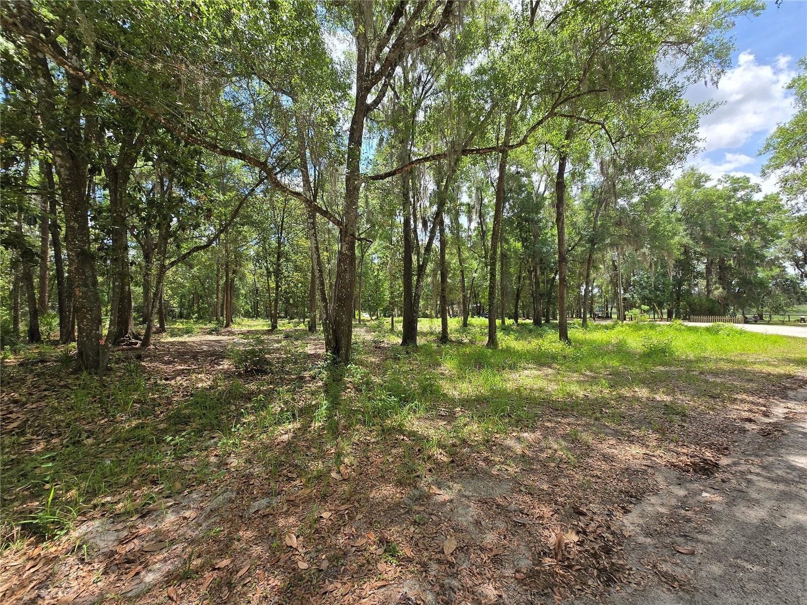 0 SW 15TH PL, OCALA, FL — photo 6