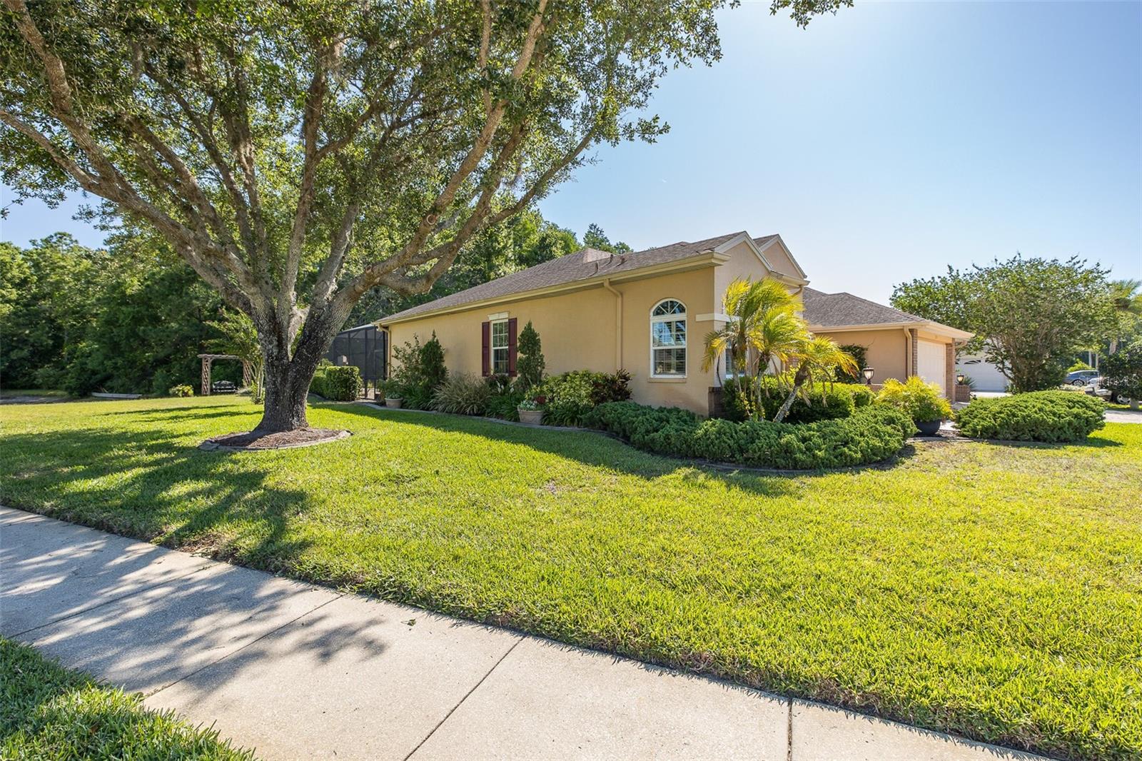 1517 HAVERHILL DR, NEW PORT RICHEY, FL — photo 61