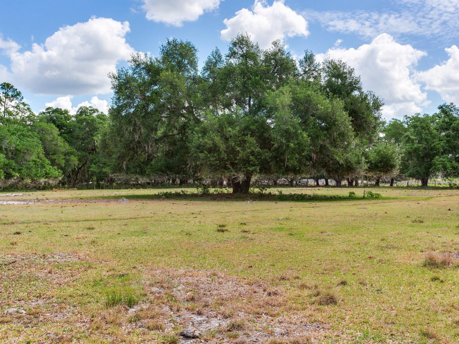 , THONOTOSASSA, FL — photo 2