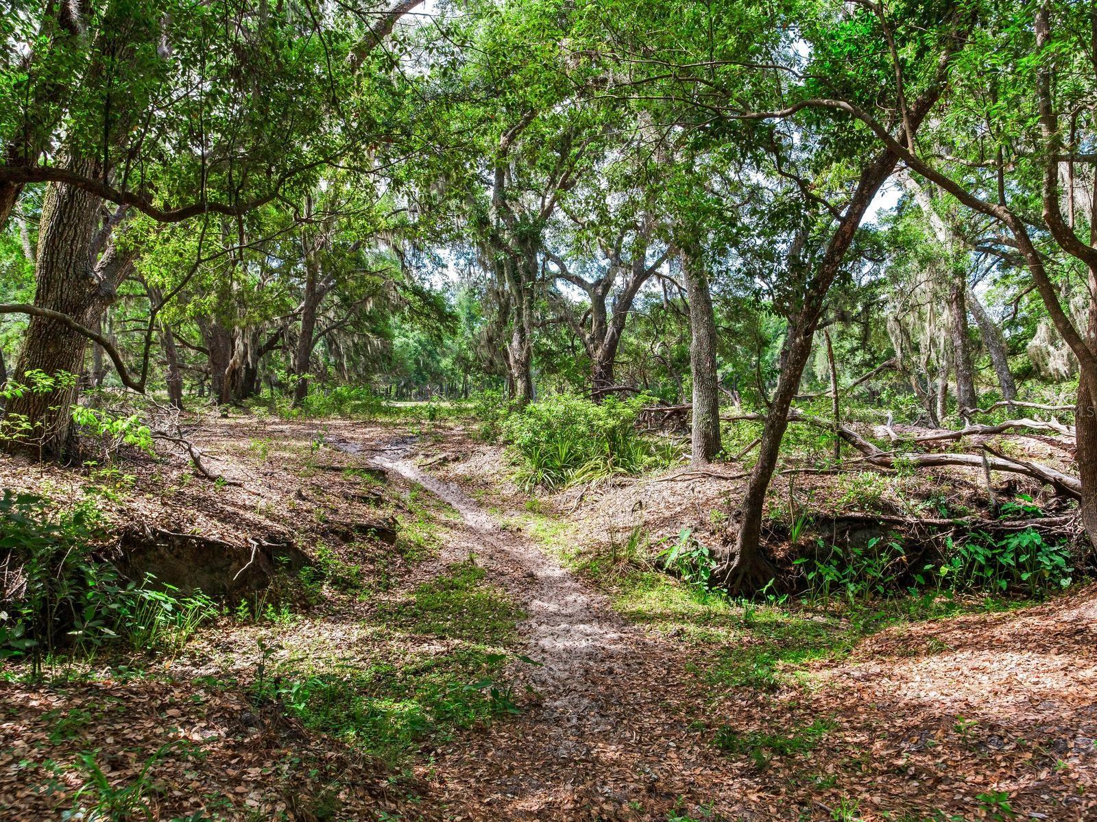 , THONOTOSASSA, FL — photo 3