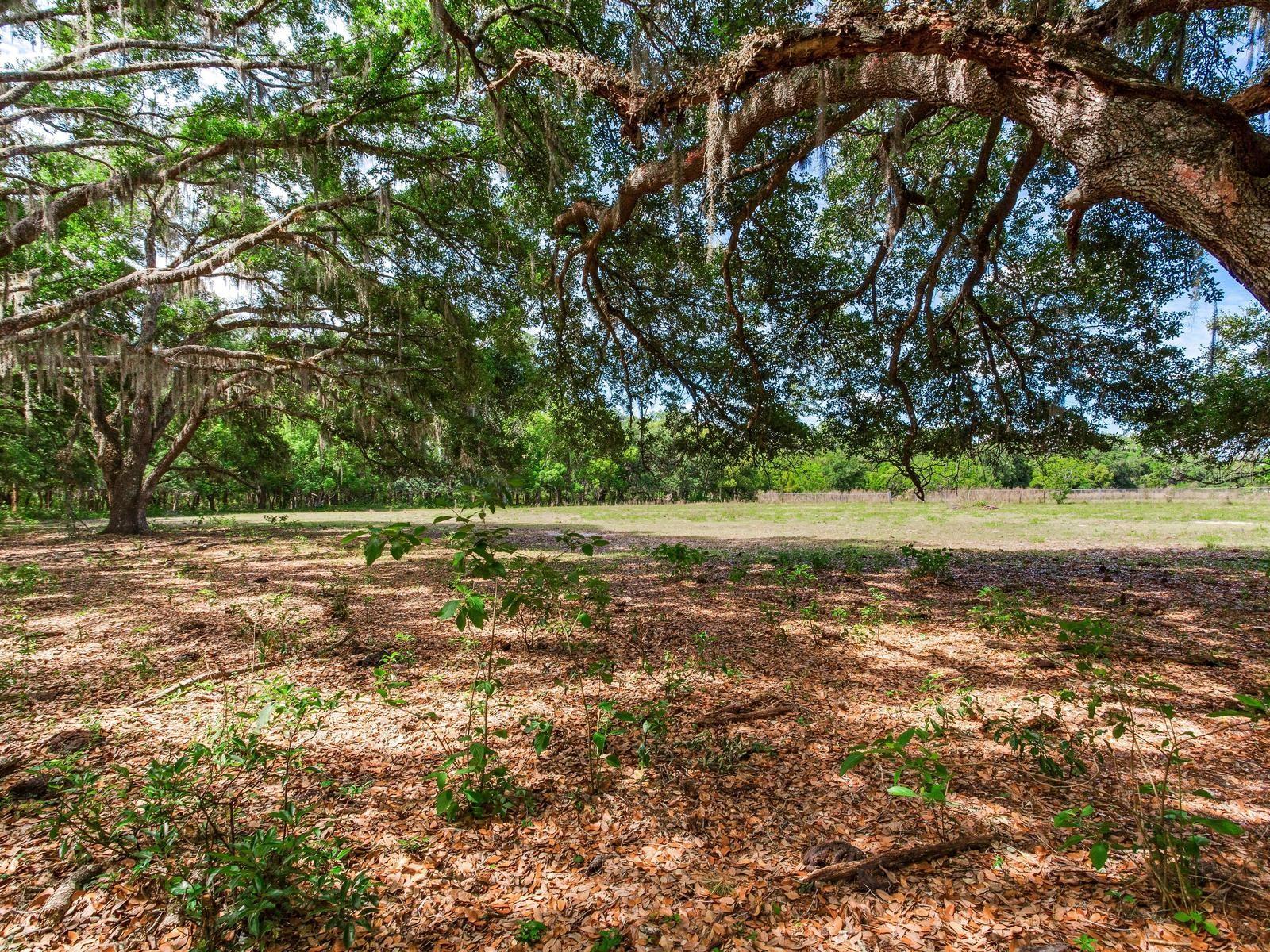 , THONOTOSASSA, FL — photo 8