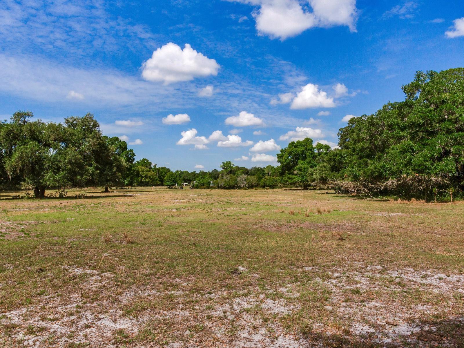 , THONOTOSASSA, FL — photo 12