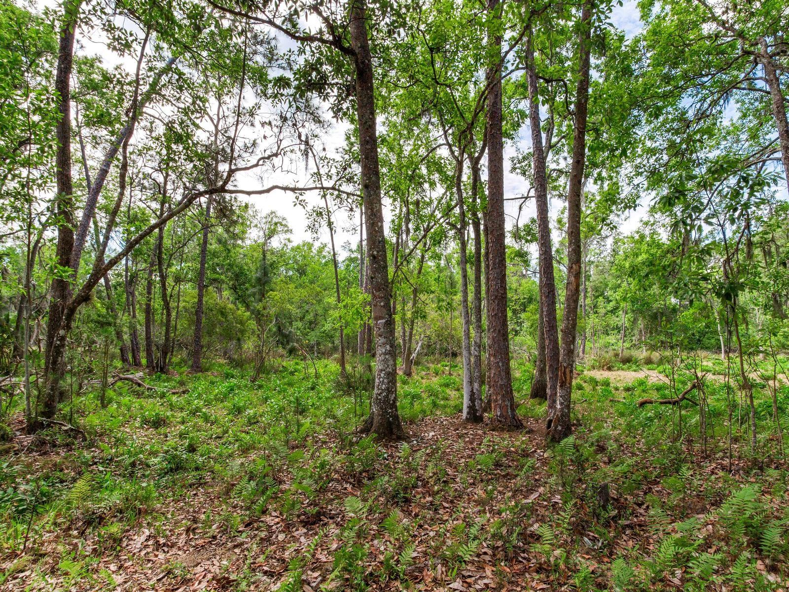 , THONOTOSASSA, FL — photo 14