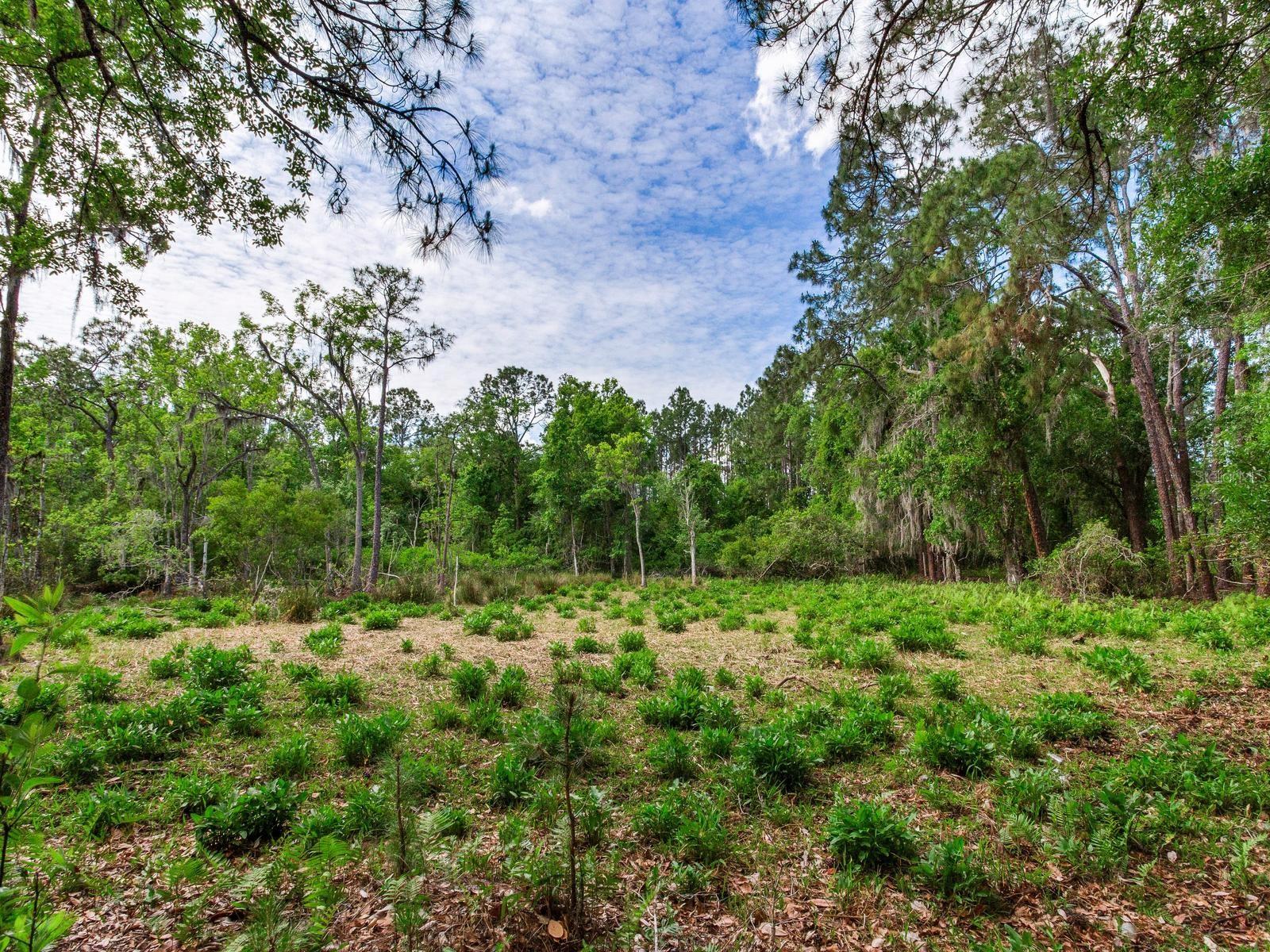 , THONOTOSASSA, FL — photo 15