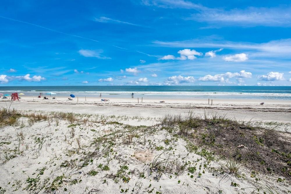 4591 S ATLANTIC AVE, PORT ORANGE, FL — photo 5