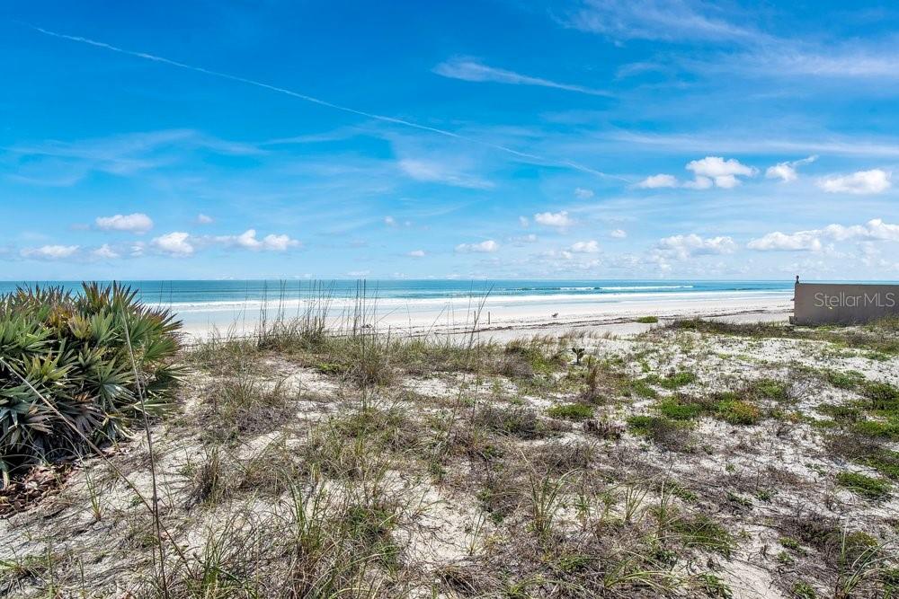 4591 S ATLANTIC AVE, PORT ORANGE, FL — photo 12