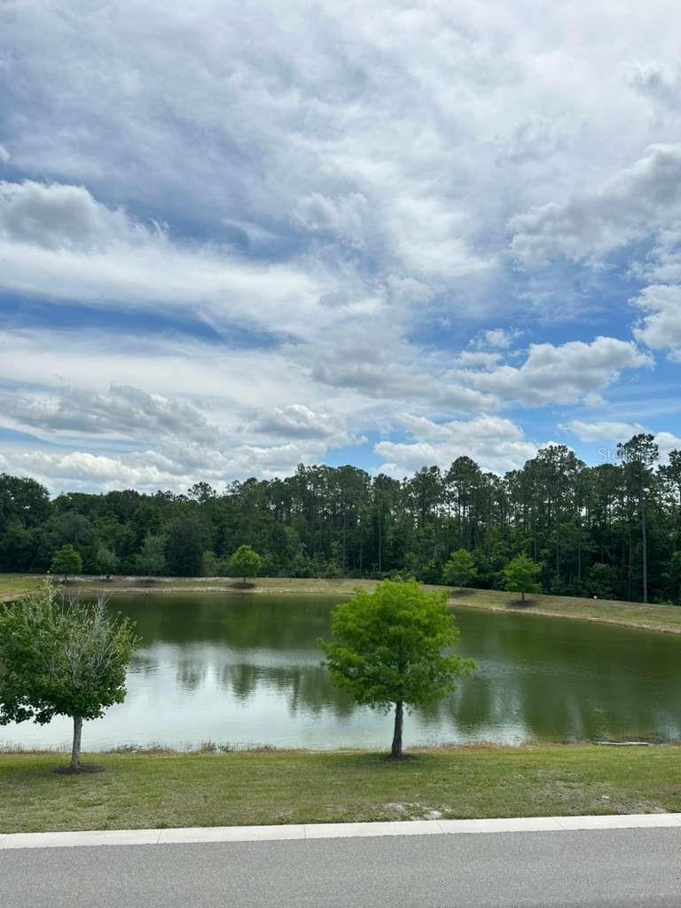 9031 LEGADO DR, WINDERMERE, FL — photo 27