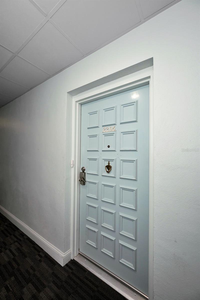 2700 BAYSHORE BLVD #2205, DUNEDIN, FL — photo 3