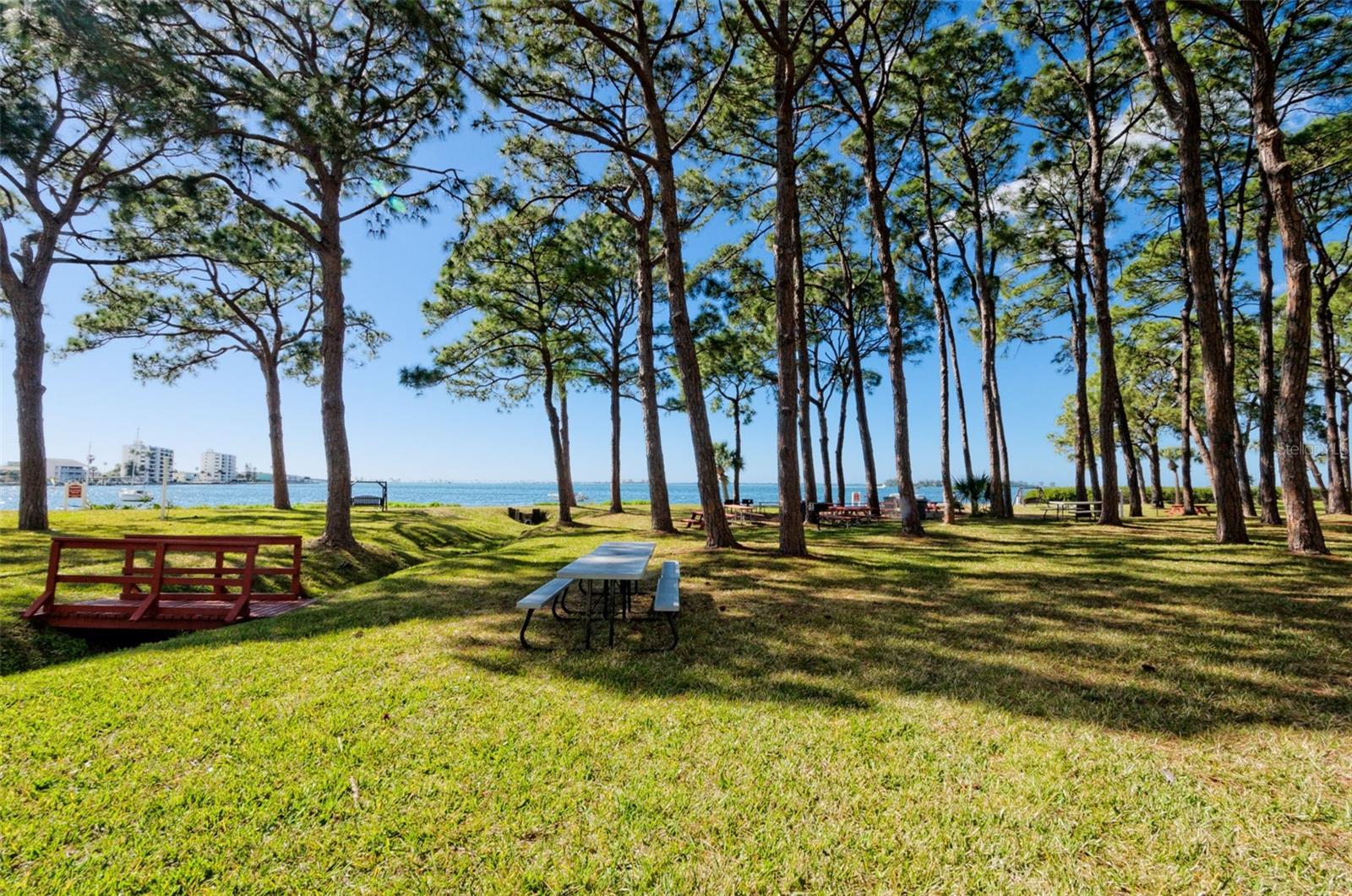 2700 BAYSHORE BLVD #2205, DUNEDIN, FL — photo 35