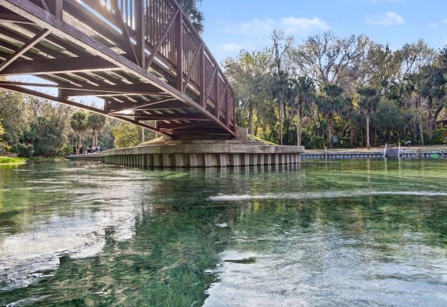 30513 PRESTWICK AVE, SORRENTO, FL — photo 58