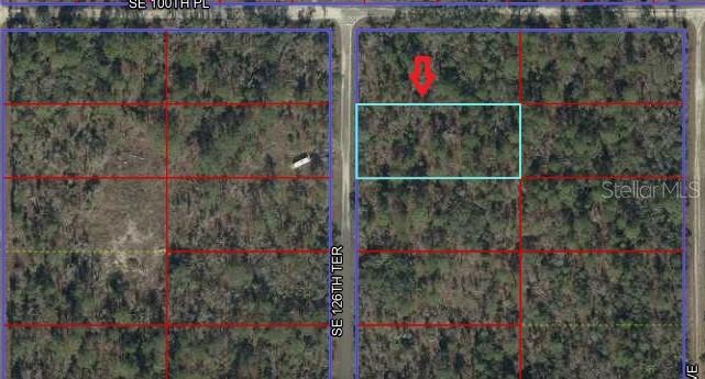 00 SE 126TH TER, DUNNELLON, FL — photo 2
