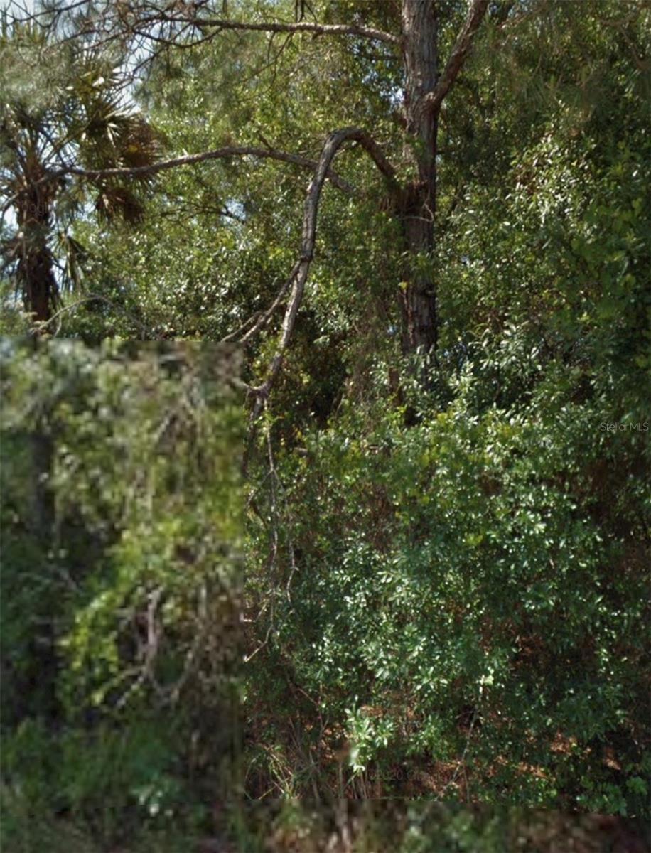 OHIO RD, NORTH PORT, FL
