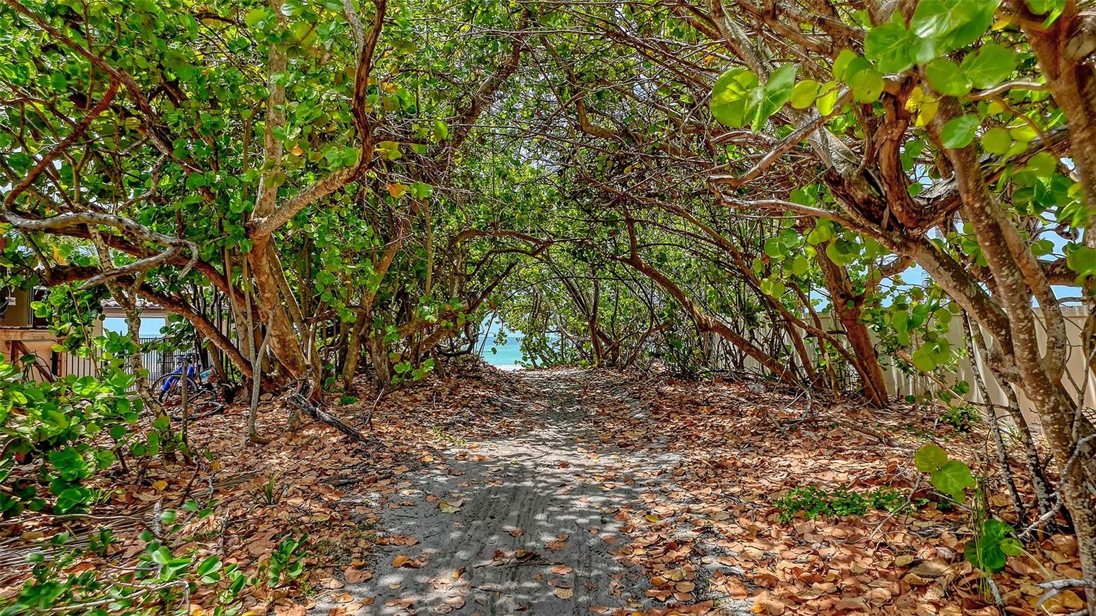 3040 GULF OF MEXICO DR #3, LONGBOAT KEY, FL — photo 78