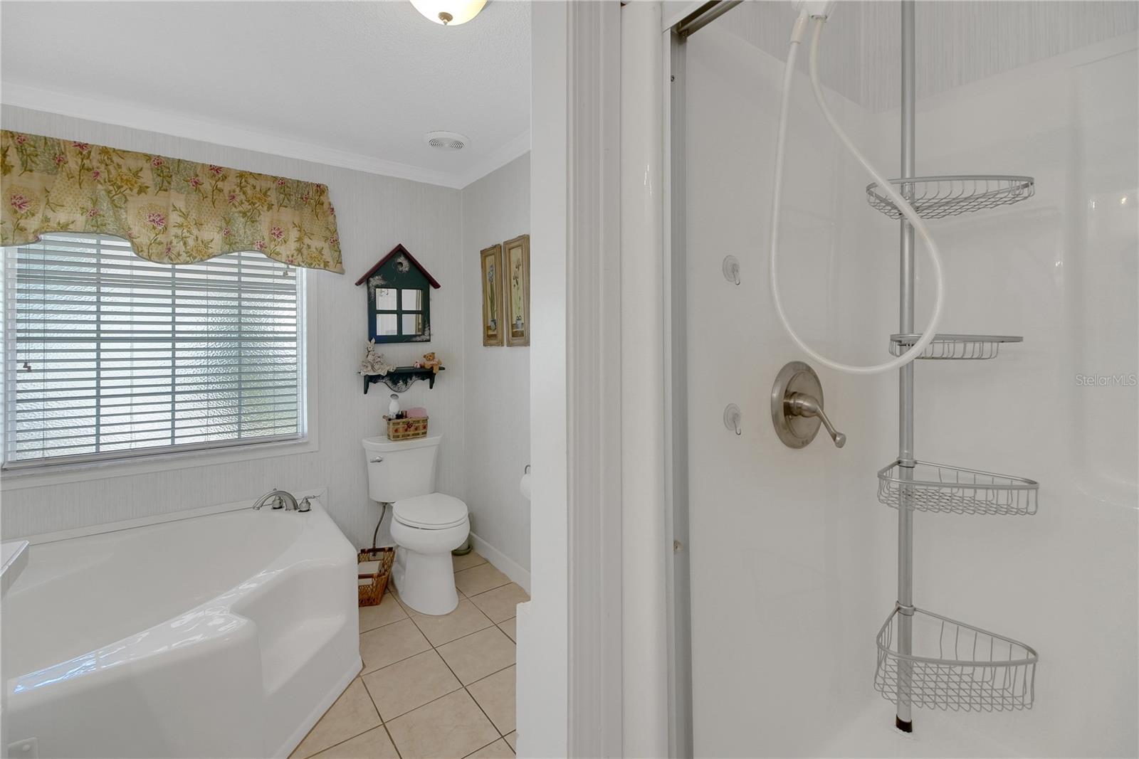 15 RIVERVIEW DR, FRUITLAND PARK, FL — photo 66