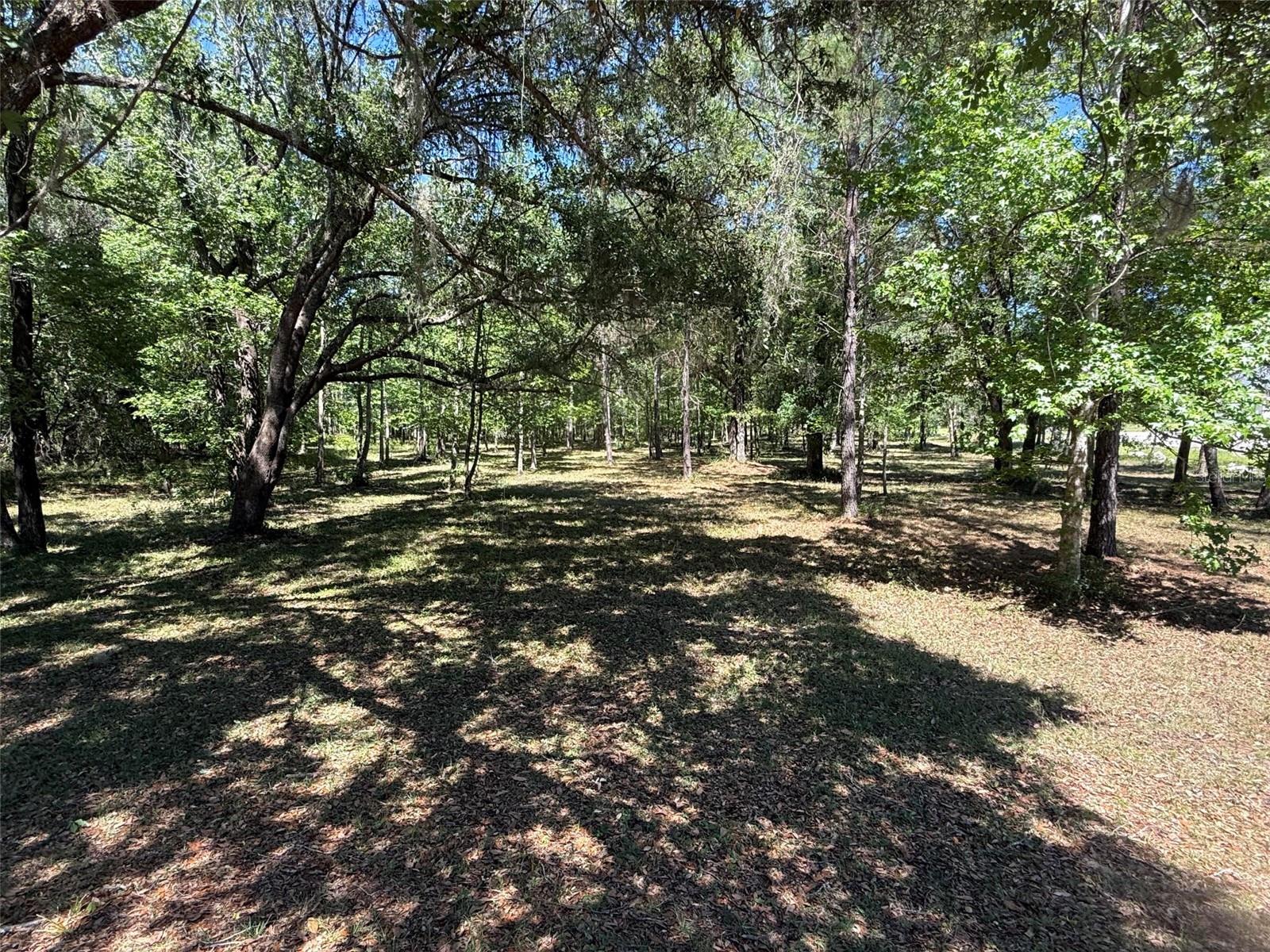 0 NW 145 AVE, WILLISTON, FL