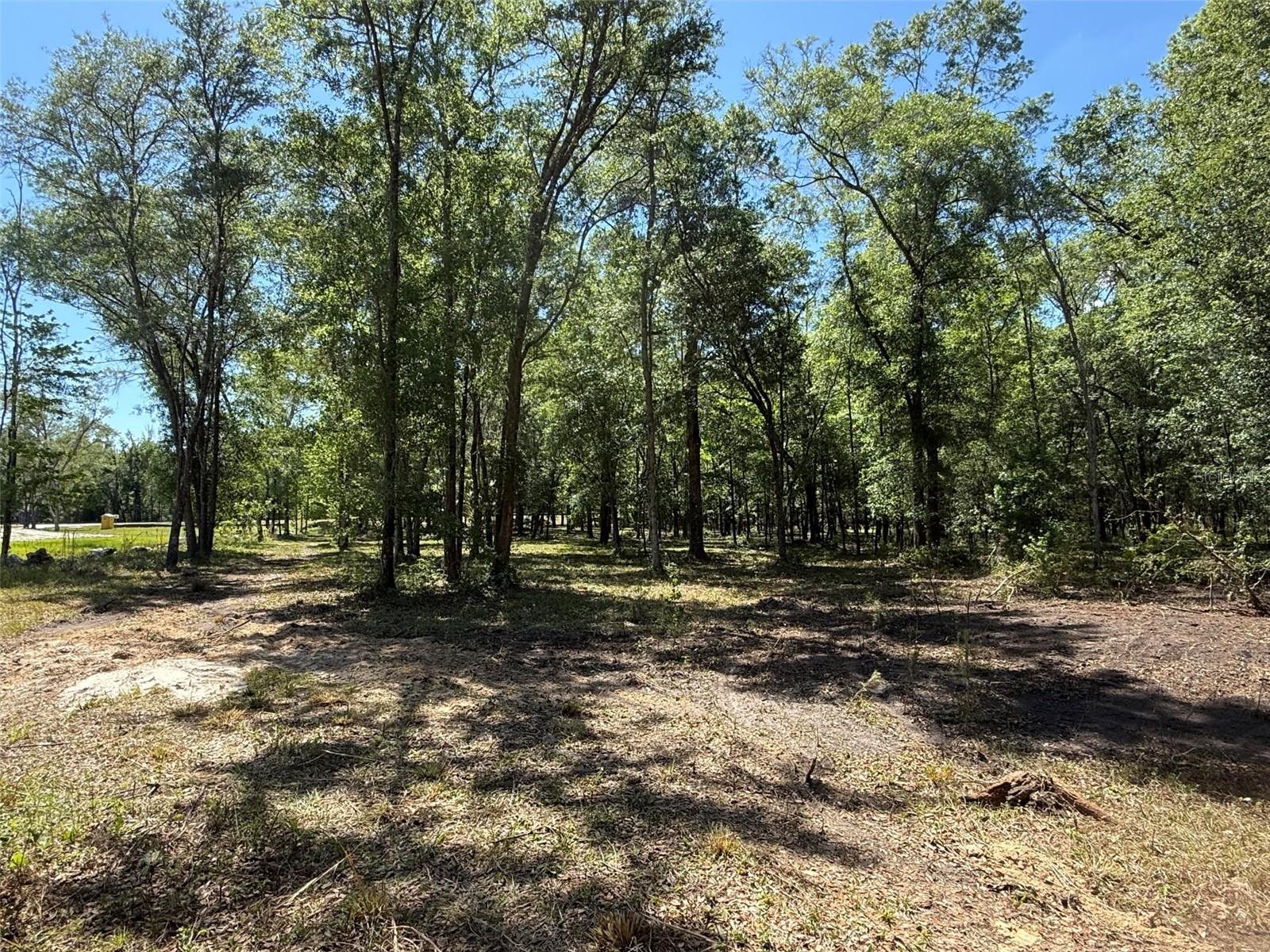 0 NW 145 AVE, WILLISTON, FL — photo 3